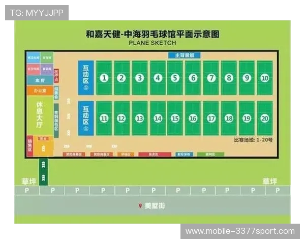 深入分析成都羽毛球队防守战术的独特魅力与实战应用